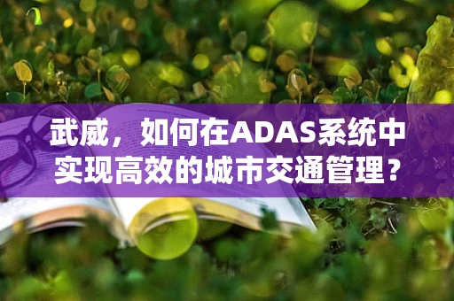 武威，如何在ADAS系统中实现高效的城市交通管理？