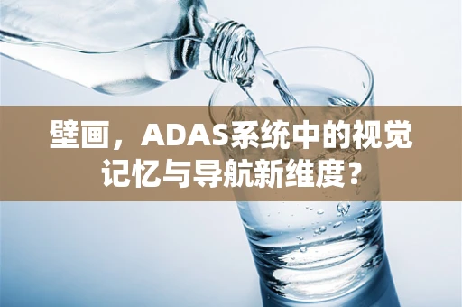 壁画，ADAS系统中的视觉记忆与导航新维度？