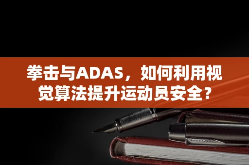 拳击与ADAS，如何利用视觉算法提升运动员安全？