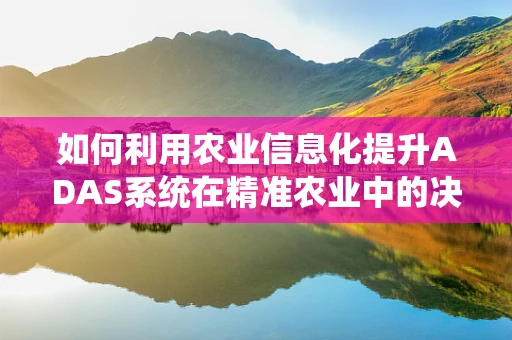 如何利用农业信息化提升ADAS系统在精准农业中的决策精度？