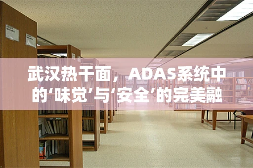 武汉热干面，ADAS系统中的‘味觉’与‘安全’的完美融合