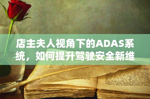 店主夫人视角下的ADAS系统，如何提升驾驶安全新维度？