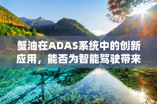 蟹油在ADAS系统中的创新应用，能否为智能驾驶带来‘味觉’上的安全提升？