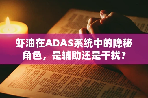 虾油在ADAS系统中的隐秘角色，是辅助还是干扰？