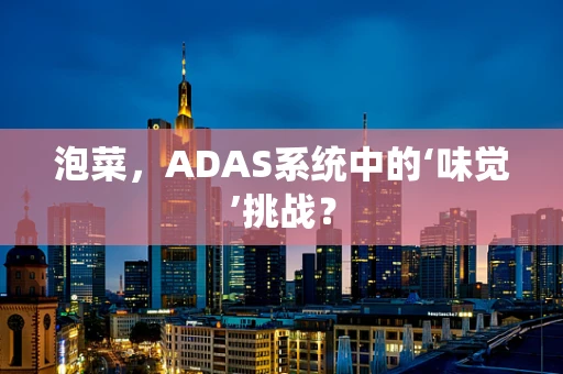 泡菜，ADAS系统中的‘味觉’挑战？
