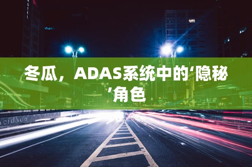冬瓜，ADAS系统中的‘隐秘’角色