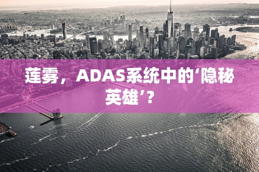 莲雾，ADAS系统中的‘隐秘英雄’？