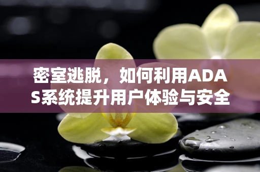 密室逃脱，如何利用ADAS系统提升用户体验与安全？