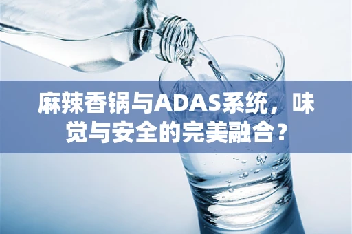 麻辣香锅与ADAS系统，味觉与安全的完美融合？