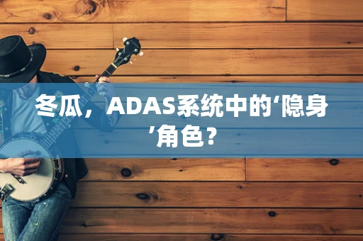 冬瓜，ADAS系统中的‘隐身’角色？