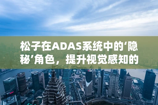 松子在ADAS系统中的‘隐秘’角色，提升视觉感知的微妙助力？