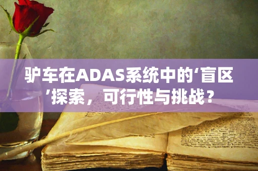 驴车在ADAS系统中的‘盲区’探索，可行性与挑战？