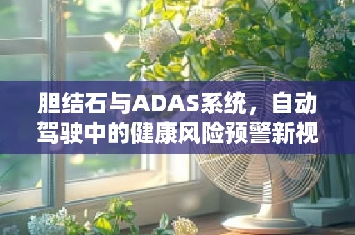 胆结石与ADAS系统，自动驾驶中的健康风险预警新视角？