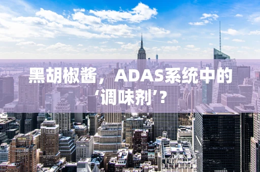 黑胡椒酱，ADAS系统中的‘调味剂’？
