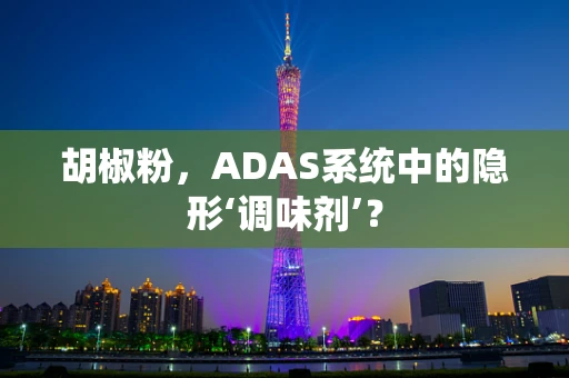 胡椒粉，ADAS系统中的隐形‘调味剂’？
