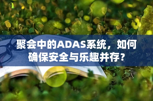 聚会中的ADAS系统，如何确保安全与乐趣并存？
