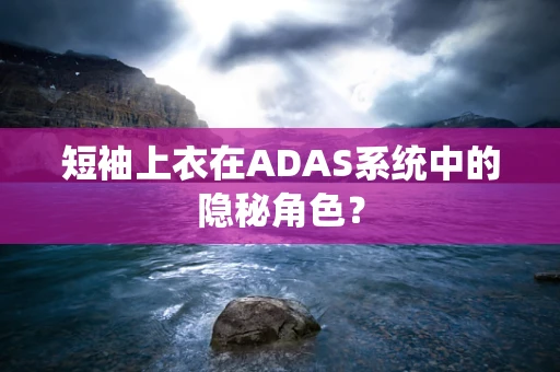 短袖上衣在ADAS系统中的隐秘角色？