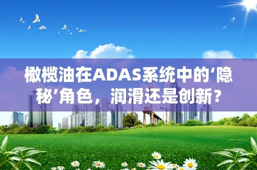 橄榄油在ADAS系统中的‘隐秘’角色，润滑还是创新？