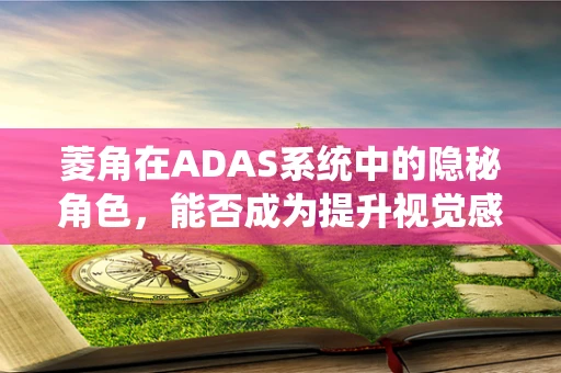 菱角在ADAS系统中的隐秘角色，能否成为提升视觉感知的‘利器’？