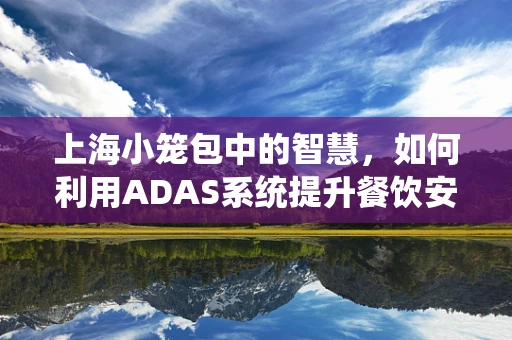 上海小笼包中的智慧，如何利用ADAS系统提升餐饮安全与效率？