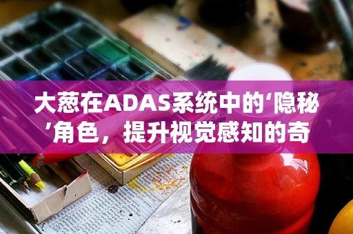 大葱在ADAS系统中的‘隐秘’角色，提升视觉感知的奇妙之选？