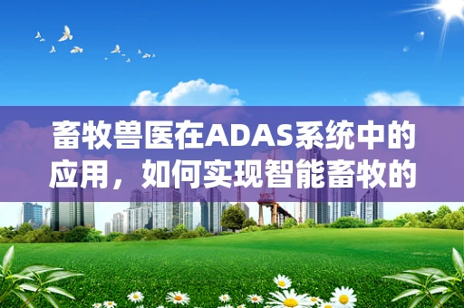 畜牧兽医在ADAS系统中的应用，如何实现智能畜牧的精准管理？
