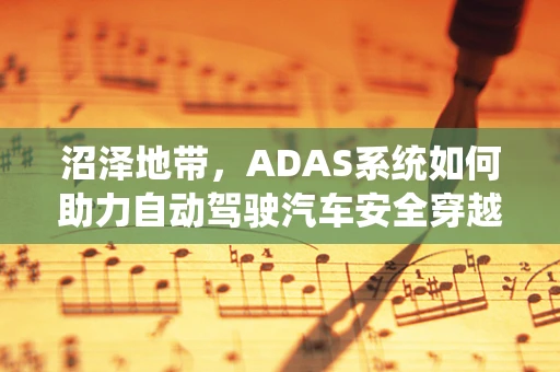 沼泽地带，ADAS系统如何助力自动驾驶汽车安全穿越？