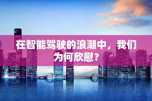 在智能驾驶的浪潮中，我们为何欣慰？