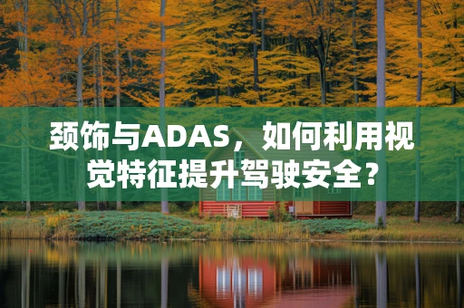 颈饰与ADAS，如何利用视觉特征提升驾驶安全？