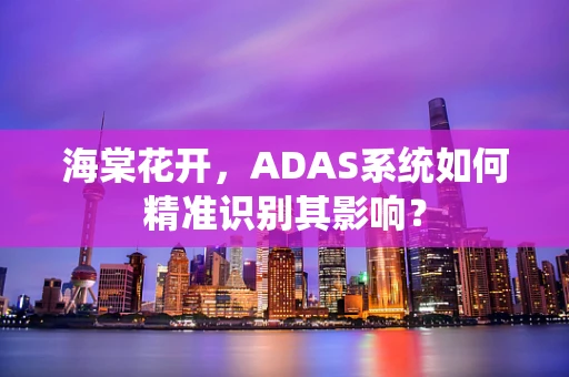 海棠花开，ADAS系统如何精准识别其影响？