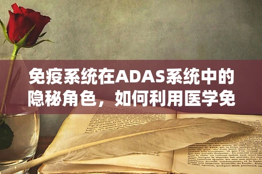 免疫系统在ADAS系统中的隐秘角色，如何利用医学免疫学优化自动驾驶安全？
