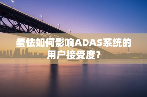 羞怯如何影响ADAS系统的用户接受度？