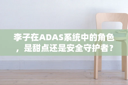 李子在ADAS系统中的角色，是甜点还是安全守护者？