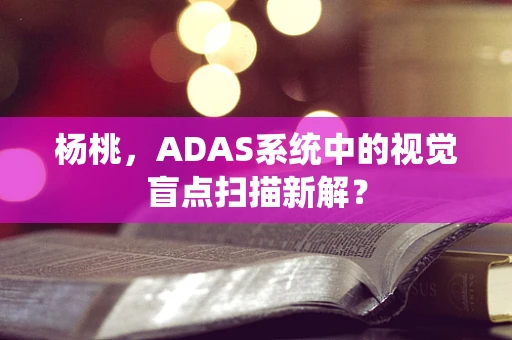 杨桃，ADAS系统中的视觉盲点扫描新解？