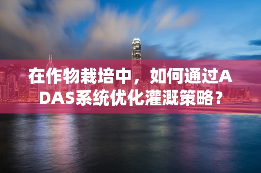 在作物栽培中，如何通过ADAS系统优化灌溉策略？