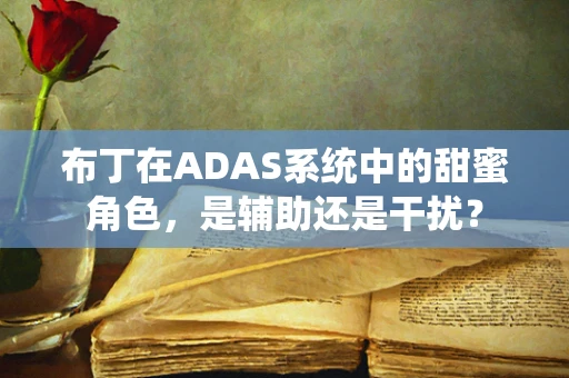 布丁在ADAS系统中的甜蜜角色，是辅助还是干扰？