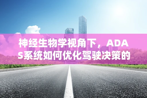 神经生物学视角下，ADAS系统如何优化驾驶决策的神经机制？