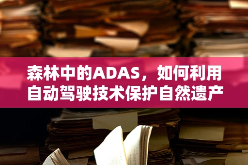森林中的ADAS，如何利用自动驾驶技术保护自然遗产？
