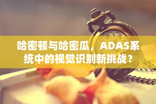 哈密顿与哈密瓜，ADAS系统中的视觉识别新挑战？