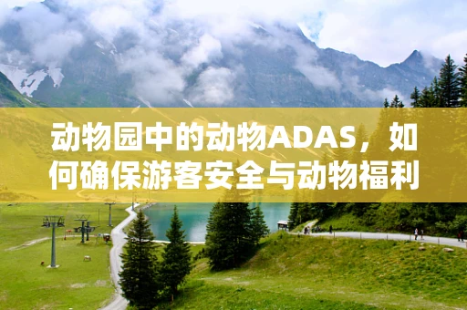 动物园中的动物ADAS，如何确保游客安全与动物福利？