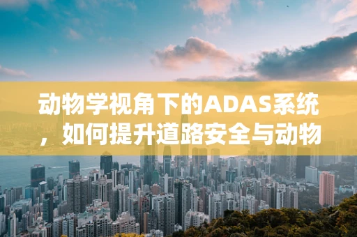 动物学视角下的ADAS系统，如何提升道路安全与动物共存？