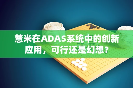 薏米在ADAS系统中的创新应用，可行还是幻想？