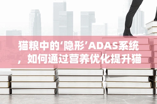 猫粮中的‘隐形’ADAS系统，如何通过营养优化提升猫咪的驾驶安全？
