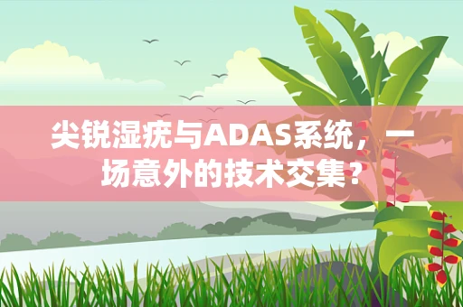 尖锐湿疣与ADAS系统，一场意外的技术交集？