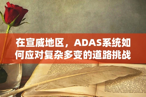 在宣威地区，ADAS系统如何应对复杂多变的道路挑战？