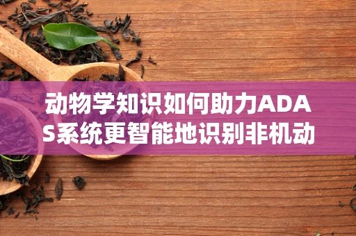 动物学知识如何助力ADAS系统更智能地识别非机动车？