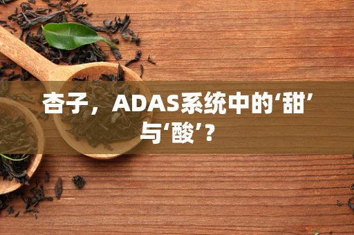 杏子，ADAS系统中的‘甜’与‘酸’？