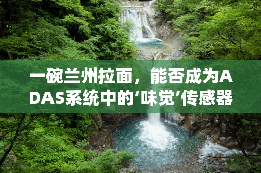 一碗兰州拉面，能否成为ADAS系统中的‘味觉’传感器？