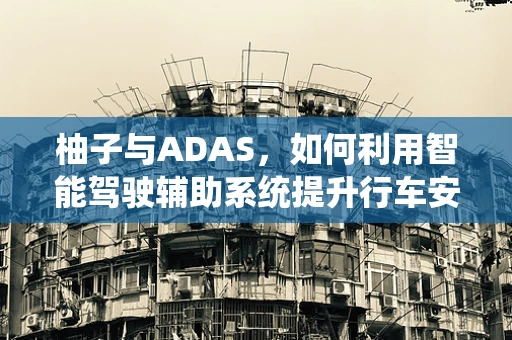 柚子与ADAS，如何利用智能驾驶辅助系统提升行车安全？