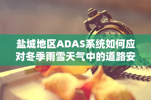 盐城地区ADAS系统如何应对冬季雨雪天气中的道路安全挑战？